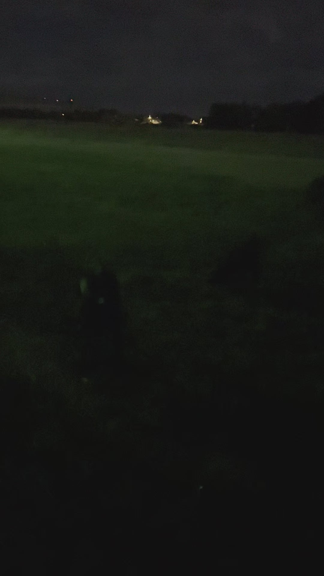 Dog Collar Light